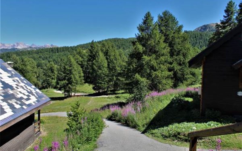 DEMI-CHALET PLEIADES RSL002-17 - Appt 2 pièces / mezz Location DEMI-CHALET PLEIADES RSL002-17 - Appt 2 pièces / mezz à RISOUL