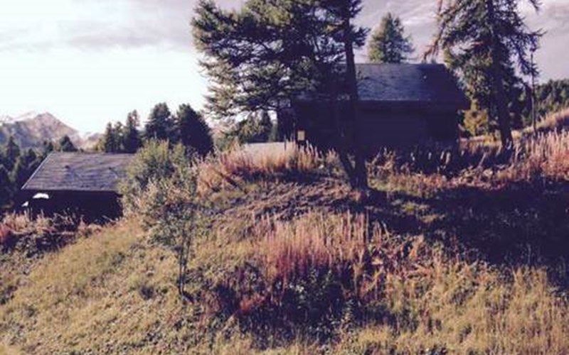 Appartement 4 personnes Balcons de Sirius 212 Location Appartement 4 personnes Balcons de Sirius 212 à RISOUL