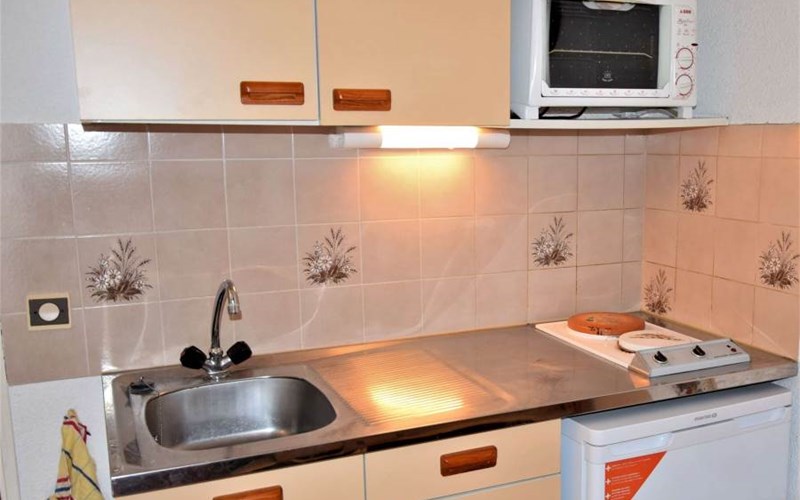 SOLDANELLES RSL160-44 - Appt Studio Location SOLDANELLES RSL160-44 - Appt Studio à RISOUL