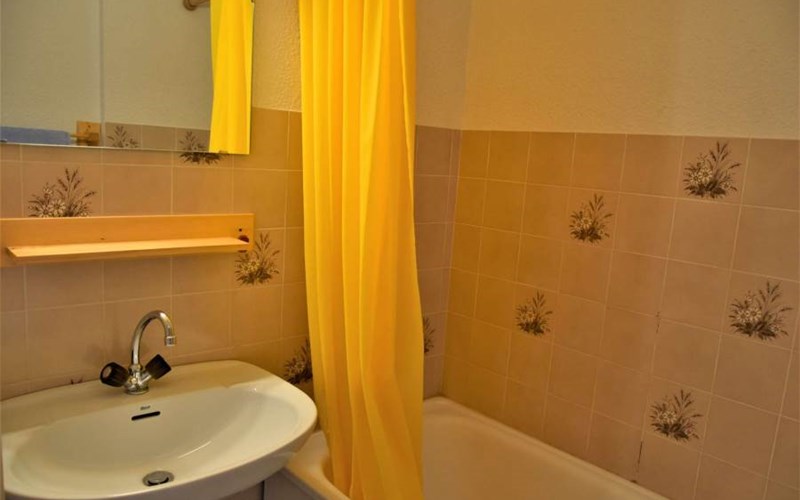 SOLDANELLES RSL160-44 - Appt Studio Location SOLDANELLES RSL160-44 - Appt Studio à RISOUL