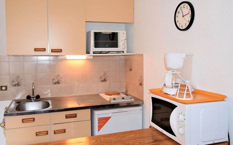 SOLDANELLES RSL160-44 - Appt Studio Location SOLDANELLES RSL160-44 - Appt Studio à RISOUL