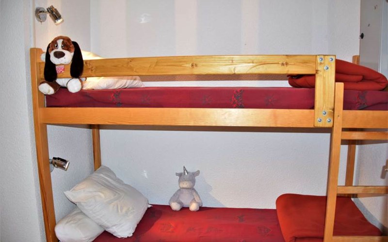 SOLDANELLES RSL160-44 - Appt Studio Location SOLDANELLES RSL160-44 - Appt Studio à RISOUL