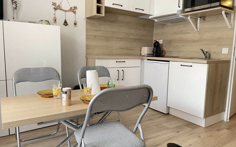 SOLDANELLES RSL160-43 - Appt Studio Location SOLDANELLES RSL160-43 - Appt Studio à RISOUL