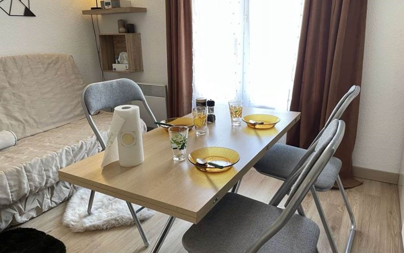 SOLDANELLES RSL160-43 - Appt Studio Location SOLDANELLES RSL160-43 - Appt Studio à RISOUL