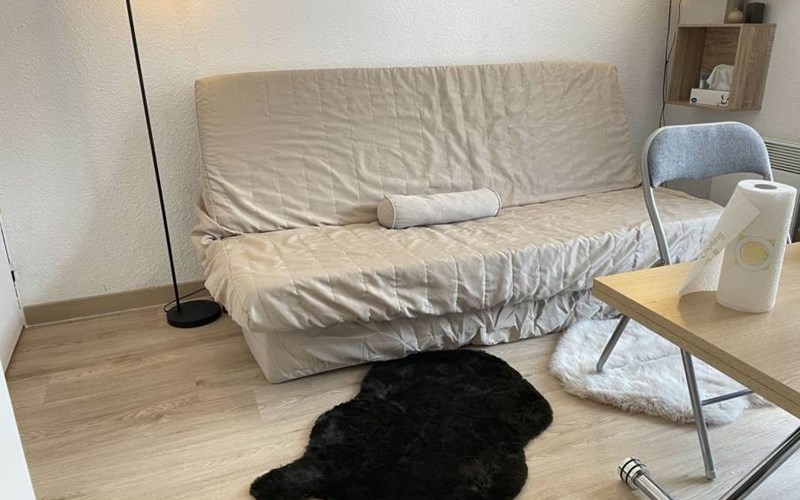 SOLDANELLES RSL160-43 - Appt Studio Location SOLDANELLES RSL160-43 - Appt Studio à RISOUL