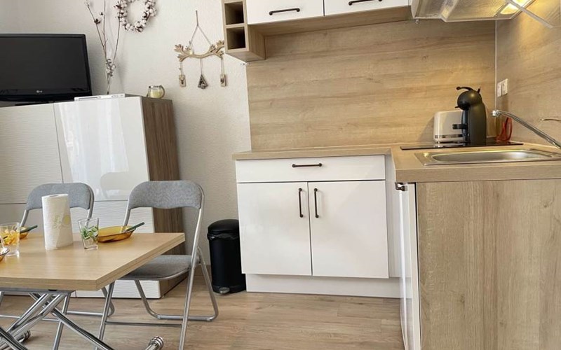 SOLDANELLES RSL160-43 - Appt Studio Location SOLDANELLES RSL160-43 - Appt Studio à RISOUL