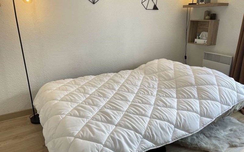 SOLDANELLES RSL160-43 - Appt Studio Location SOLDANELLES RSL160-43 - Appt Studio à RISOUL