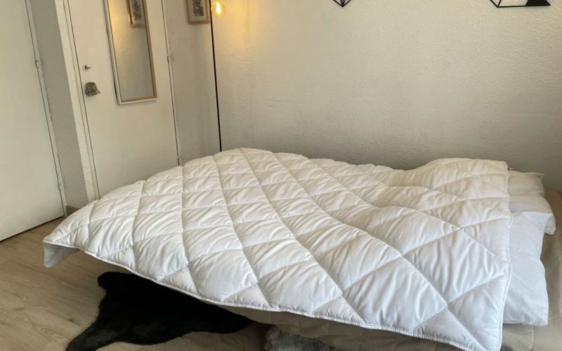 SOLDANELLES RSL160-43 - Appt Studio Location SOLDANELLES RSL160-43 - Appt Studio à RISOUL