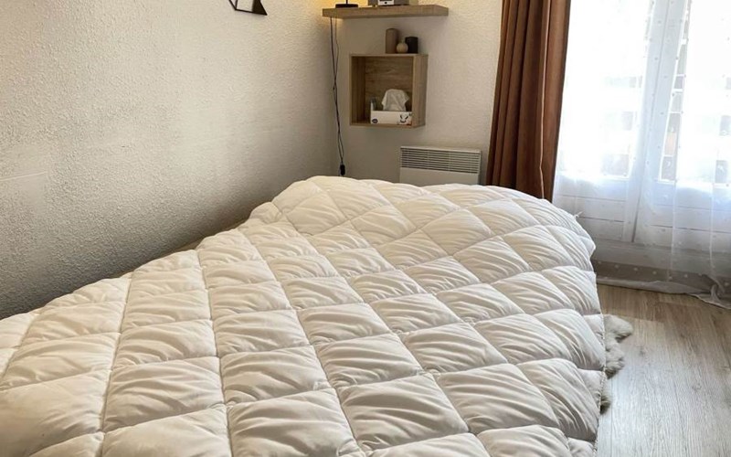 SOLDANELLES RSL160-43 - Appt Studio Location SOLDANELLES RSL160-43 - Appt Studio à RISOUL