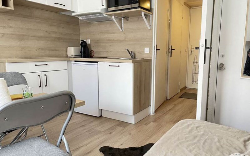 SOLDANELLES RSL160-43 - Appt Studio Location SOLDANELLES RSL160-43 - Appt Studio à RISOUL