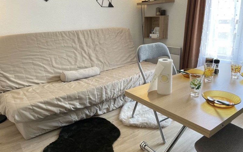 SOLDANELLES RSL160-43 - Appt Studio Location SOLDANELLES RSL160-43 - Appt Studio à RISOUL