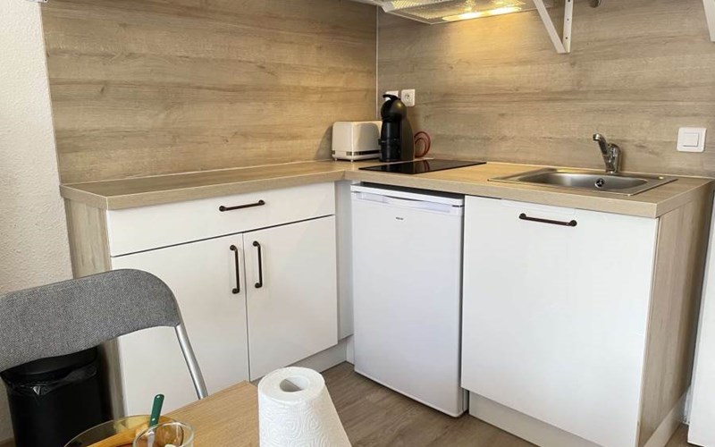 SOLDANELLES RSL160-43 - Appt Studio Location SOLDANELLES RSL160-43 - Appt Studio à RISOUL