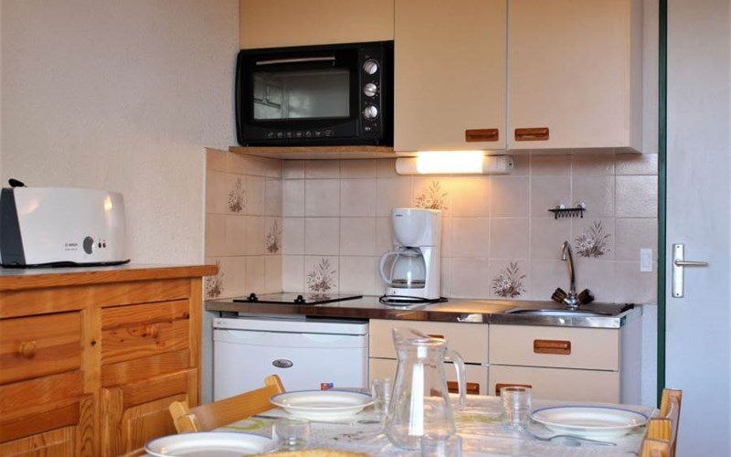 SOLDANELLES RSL160-51 - Appt Studio Location SOLDANELLES RSL160-51 - Appt Studio à RISOUL