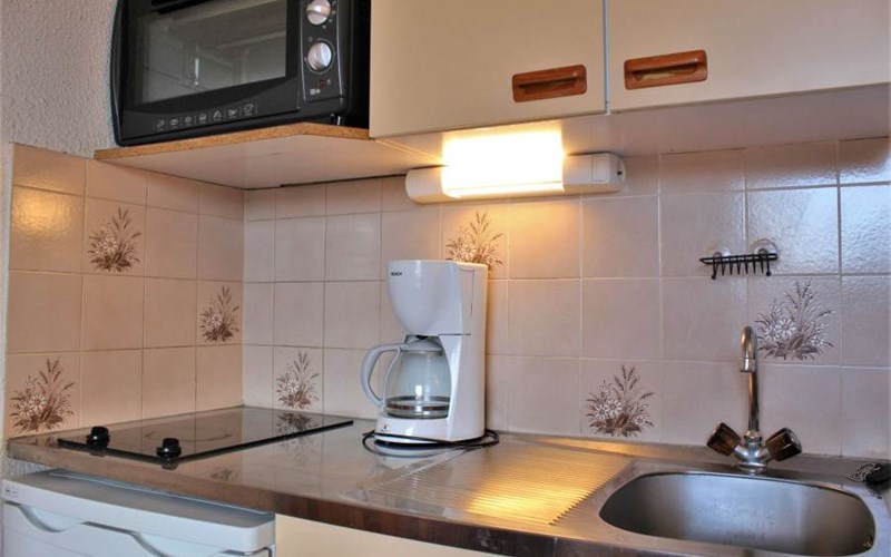 SOLDANELLES RSL160-51 - Appt Studio Location SOLDANELLES RSL160-51 - Appt Studio à RISOUL