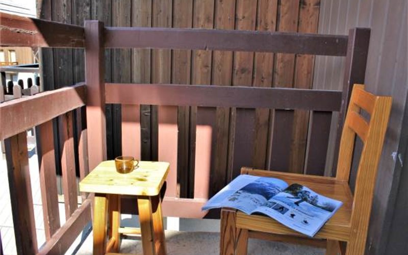 SOLDANELLES RSL160-51 - Appt Studio Location SOLDANELLES RSL160-51 - Appt Studio à RISOUL