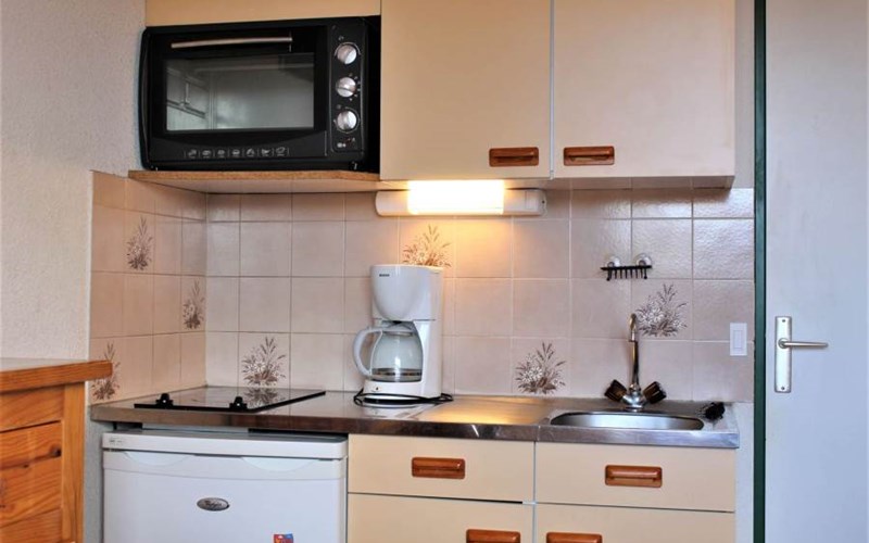 SOLDANELLES RSL160-51 - Appt Studio Location SOLDANELLES RSL160-51 - Appt Studio à RISOUL