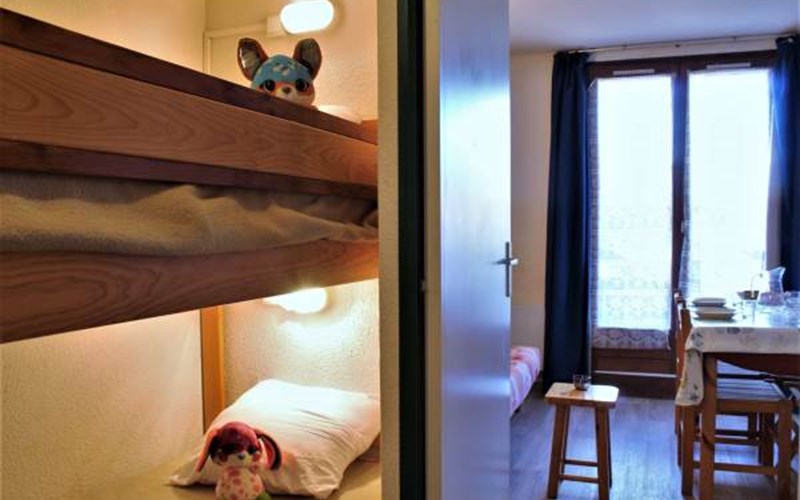 SOLDANELLES RSL160-51 - Appt Studio Location SOLDANELLES RSL160-51 - Appt Studio à RISOUL