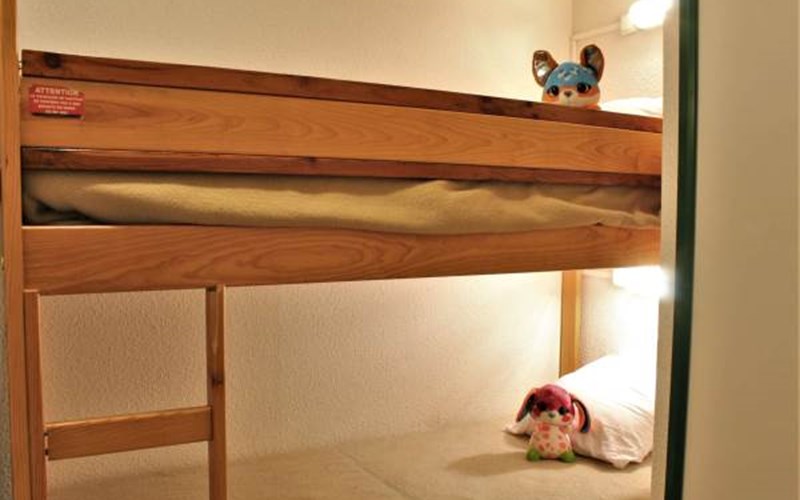 SOLDANELLES RSL160-51 - Appt Studio Location SOLDANELLES RSL160-51 - Appt Studio à RISOUL