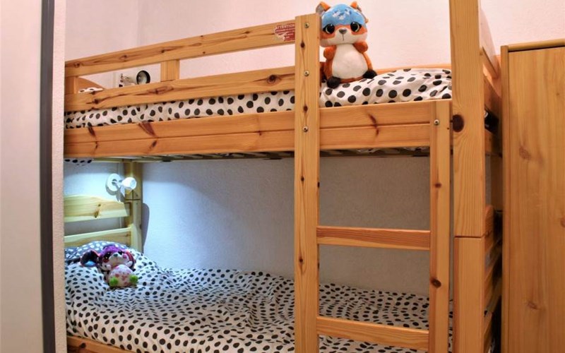 SOLDANELLES RSL160-52 - Appt Studio Location SOLDANELLES RSL160-52 - Appt Studio à RISOUL