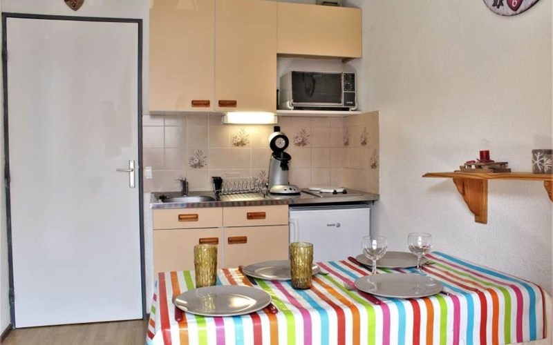 SOLDANELLES RSL160-52 - Appt Studio Location SOLDANELLES RSL160-52 - Appt Studio à RISOUL