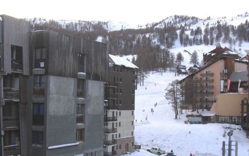 SOLDANELLES RSL160-52 - Appt Studio Location SOLDANELLES RSL160-52 - Appt Studio à RISOUL