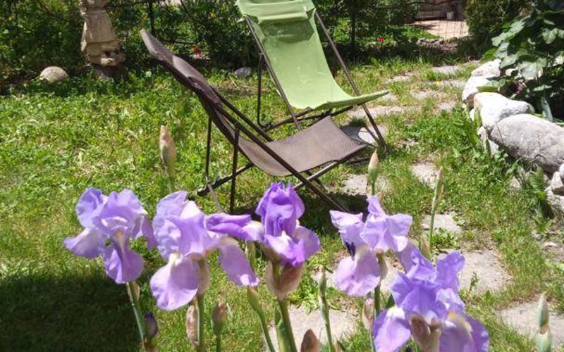 Gîtes de France N°10036 (La Chaussée) Location Gîtes de France N°10036 (La Chaussée) à BRIANCON