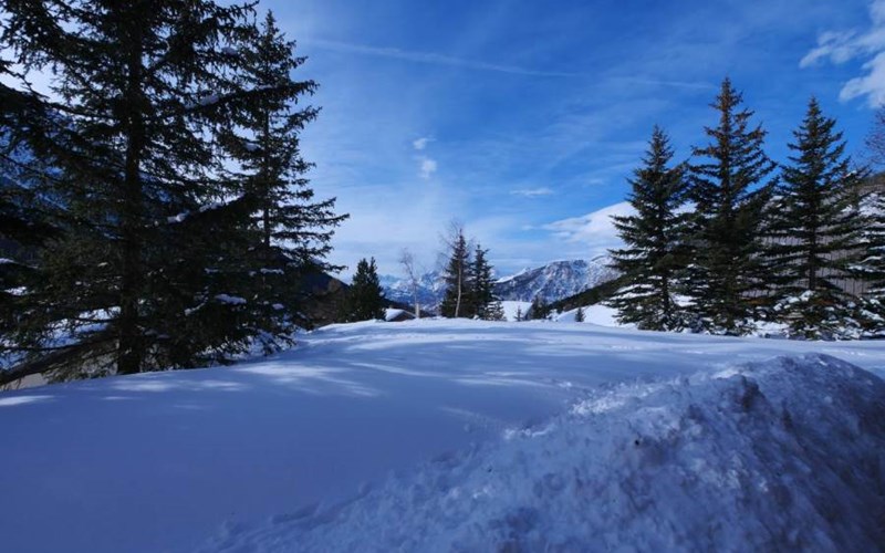 Gîtes de France N°10505 (Chalet Mouren) Location Gîtes de France N°10505 (Chalet Mouren) à MONTGENEVRE