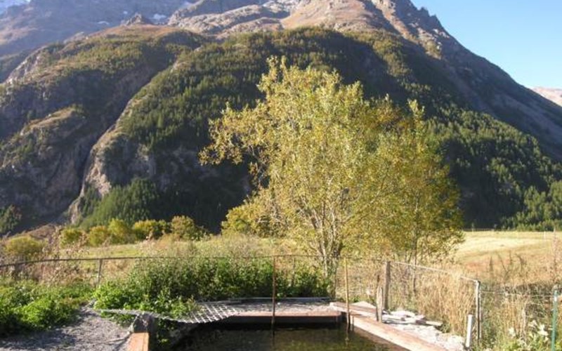 Gîtes de France N°11135 (La Petite Maison) Location Gîtes de France N°11135 (La Petite Maison) à VILLAR D ARENE