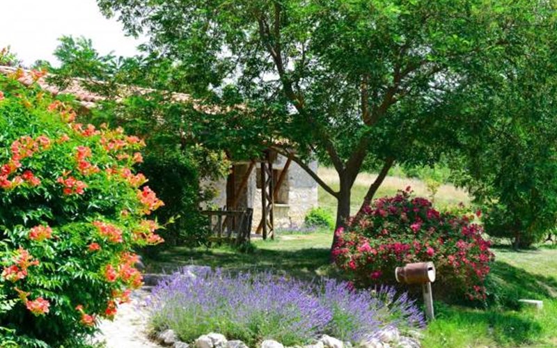 Gîtes de France N°1132 (Le Chandernagor) Location Gîtes de France N°1132 (Le Chandernagor) à ASPREMONT