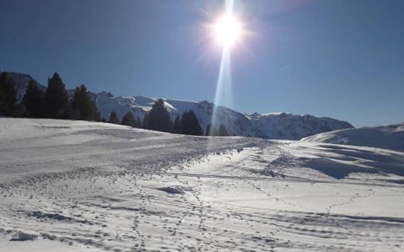 Gîtes de France N°11379 (La Basse 3) Location Gîtes de France N°11379 (La Basse 3) à LA GRAVE