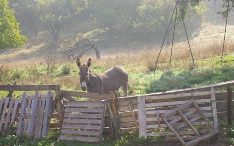 Gîtes de France N°1163 Location Gîtes de France N°1163 à LA FAURIE