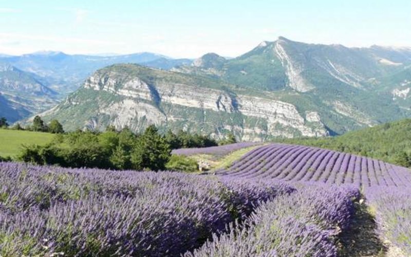 Gîtes de France N°1164 (Liochette) Location Gîtes de France N°1164 (Liochette) à LA FAURIE