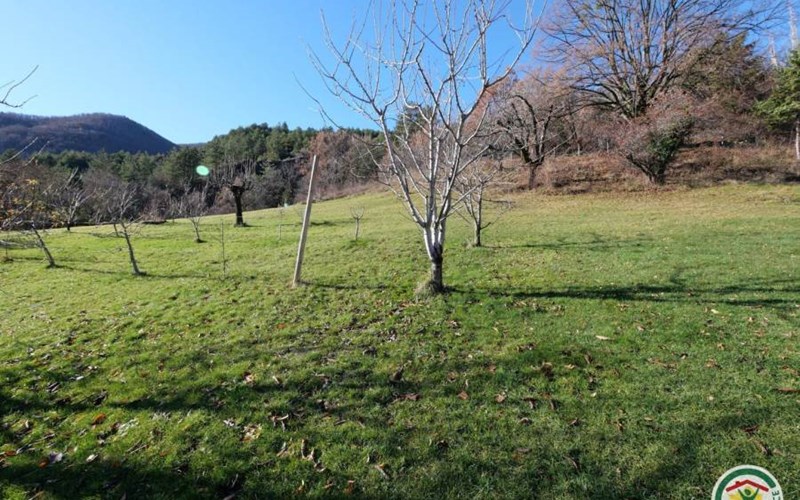 Gîtes de France N°1208 (Chez Gérard) Location Gîtes de France N°1208 (Chez Gérard) à BARCILLONNETTE