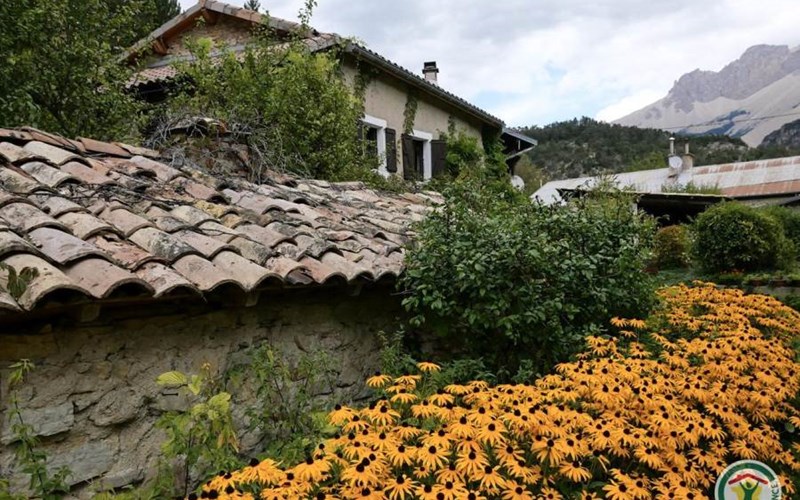 Gîtes de France N°1801 (Les Ancolies) Location Gîtes de France N°1801 (Les Ancolies) à VEYNES