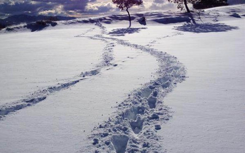 Gîtes de France N°2009 (La Belle Escale) Location Gîtes de France N°2009 (La Belle Escale) à GAP