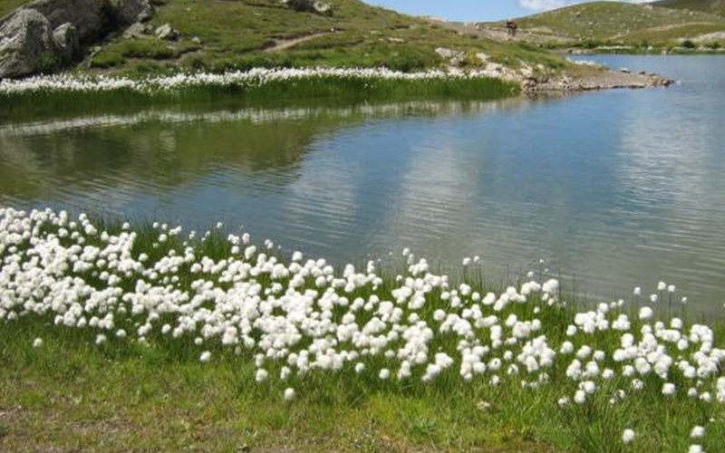 Gîtes de France N°2073 (Gîte du Lauzon) Location Gîtes de France N°2073 (Gîte du Lauzon) à GAP