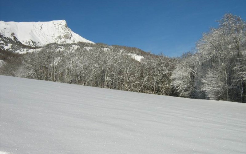 Gîtes de France N°2073 (Gîte du Lauzon) Location Gîtes de France N°2073 (Gîte du Lauzon) à GAP
