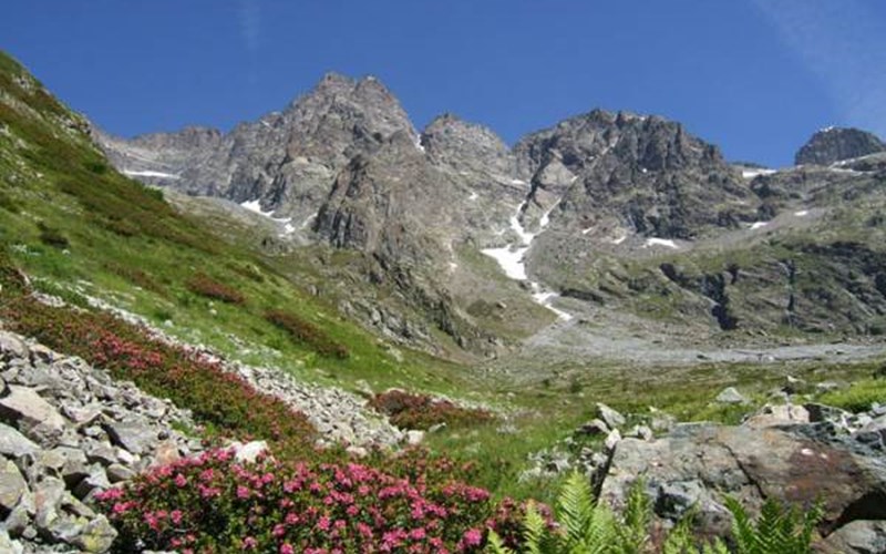 Gîtes de France N°2073 (Gîte du Lauzon) Location Gîtes de France N°2073 (Gîte du Lauzon) à GAP