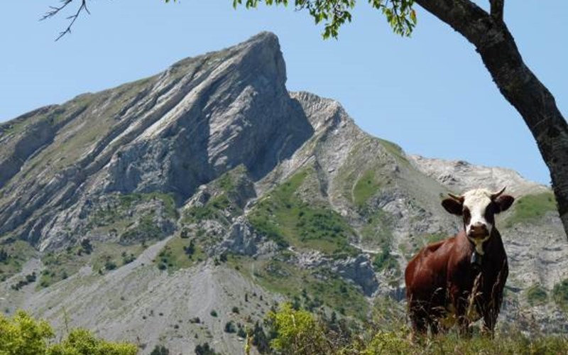 Gîtes de France N°2073 (Gîte du Lauzon) Location Gîtes de France N°2073 (Gîte du Lauzon) à GAP