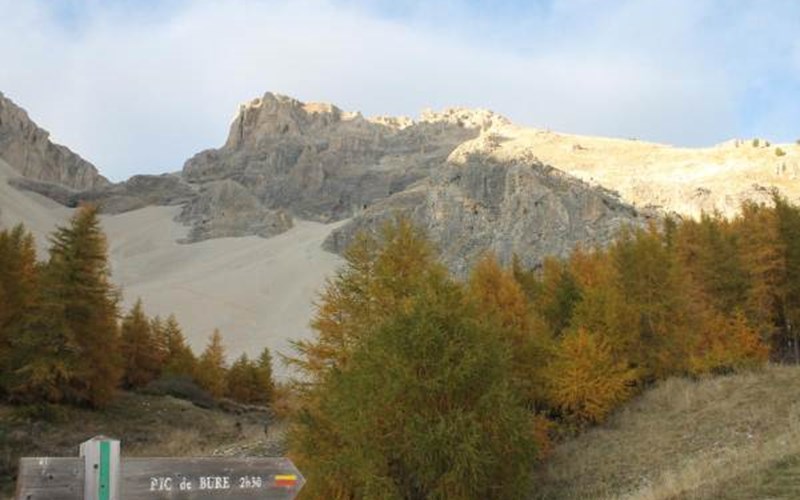 Gîtes de France N°2155 (La Dormance - Côté Bure) Location Gîtes de France N°2155 (La Dormance - Côté Bure) à LA ROCHE DES ARNAUDS