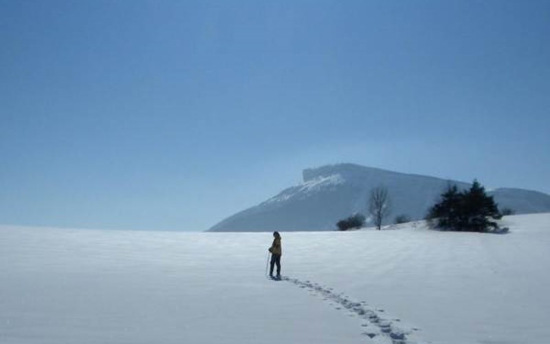 Gîtes de France N°2156 (La Dormance - Côté jardin) Location Gîtes de France N°2156 (La Dormance - Côté jardin) à LA ROCHE DES ARNAUDS