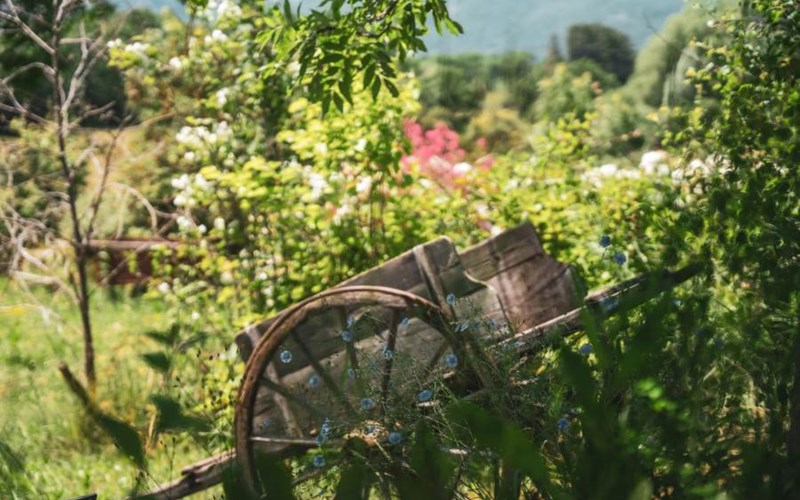Gîtes de France N°2156 (La Dormance - Côté jardin) Location Gîtes de France N°2156 (La Dormance - Côté jardin) à LA ROCHE DES ARNAUDS