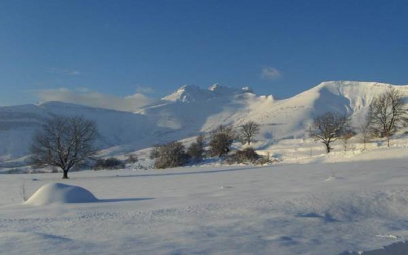 Gîtes de France N°2156 (La Dormance - Côté jardin) Location Gîtes de France N°2156 (La Dormance - Côté jardin) à LA ROCHE DES ARNAUDS