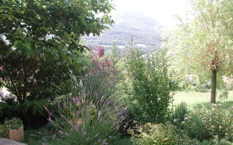 Gîtes de France N°2415 (Les Hirondelles) Location Gîtes de France N°2415 (Les Hirondelles) à ST ETIENNE LE LAUS