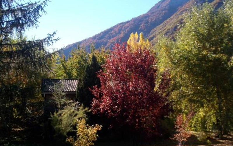 Gîtes de France N°2753 (Gîte des Cerisiers) Location Gîtes de France N°2753 (Gîte des Cerisiers) à ROCHEBRUNE