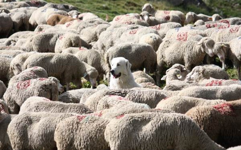 Gîtes de France N°2781 (Le Château de Rousset 1) Location Gîtes de France N°2781 (Le Château de Rousset 1) à ROUSSET