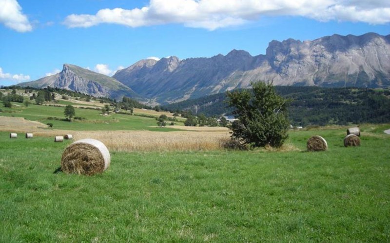 Gîtes de France N°3152 (Le Vallon des Aiguilles) Location Gîtes de France N°3152 (Le Vallon des Aiguilles) à ST ETIENNE EN DEVOLUY
