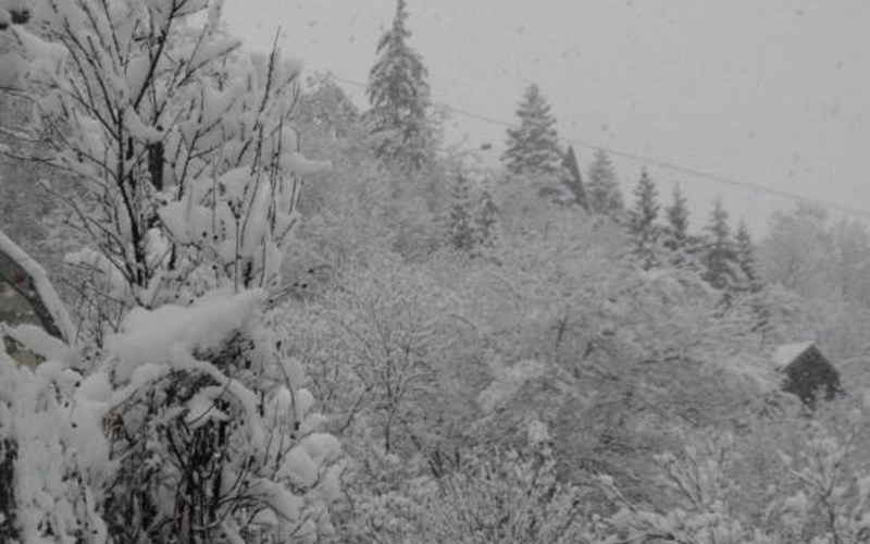 Gîtes de France N°5025 Location Gîtes de France N°5025 à ORCIERES