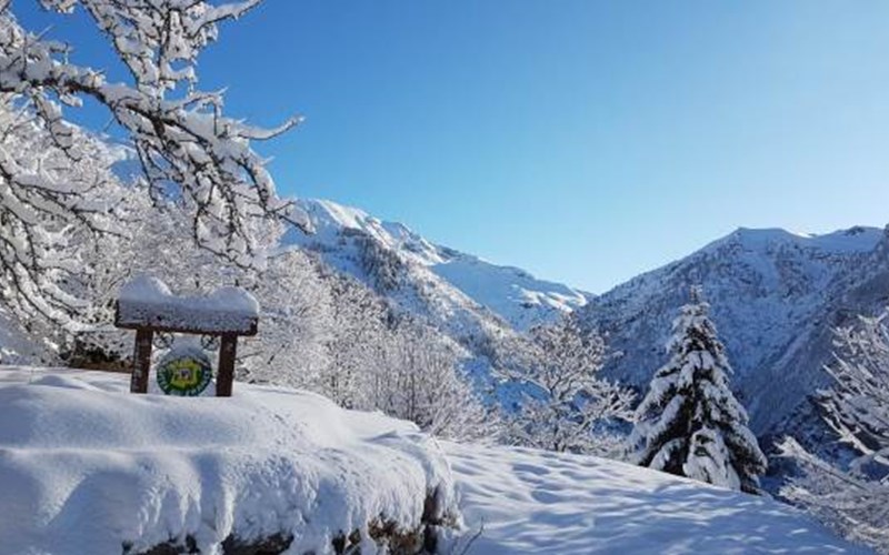 Gîtes de France N°5085 (Chalet La Forestière - La Miane) Location Gîtes de France N°5085 (Chalet La Forestière - La Miane) à ORCIERES