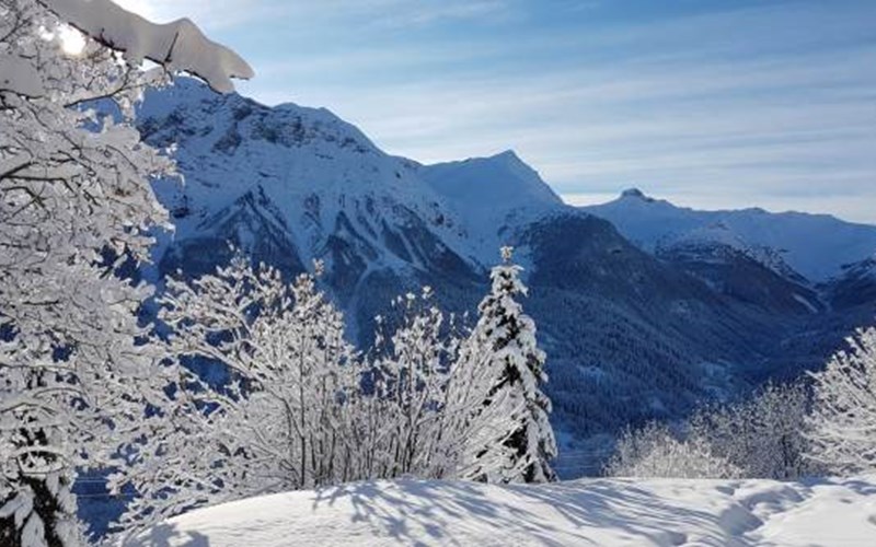 Location Gîtes de France N°5085 (Chalet La Forestière - La Miane) à ORCIERES